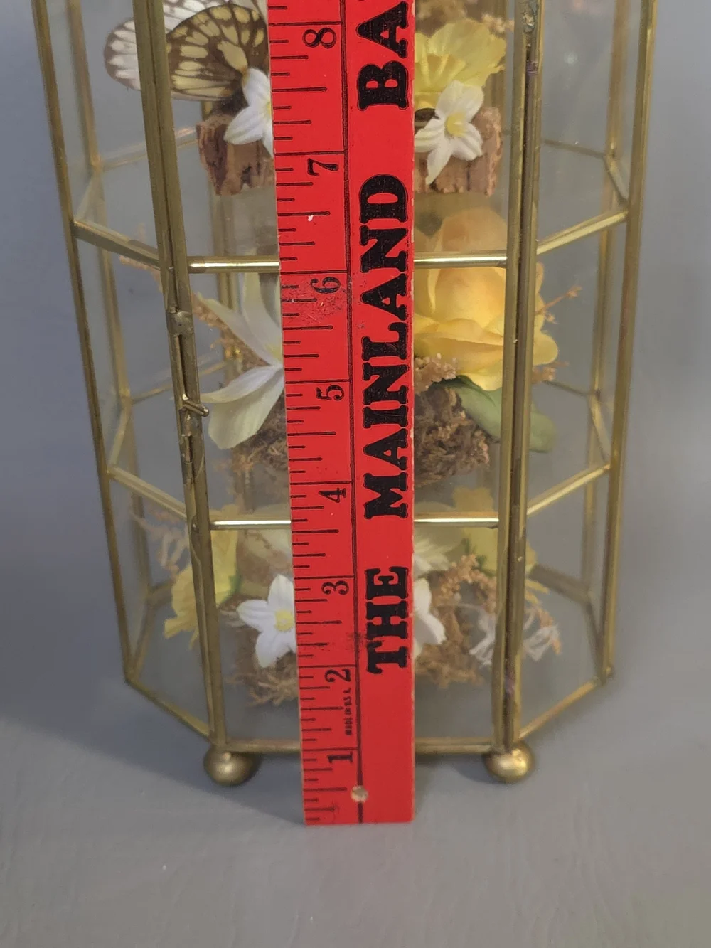 Mid Century Vintage Butterfly Taxidermy Floral In Brass And Glass Curio Cabinet